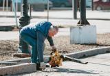 фото: Вологда-поиск