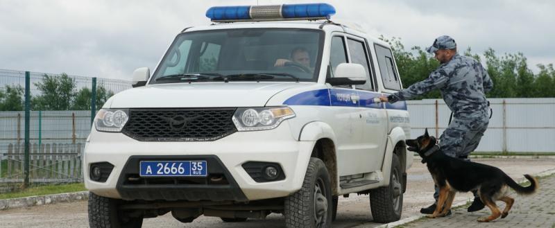 Тимур Бойков, Vologda-poisk.ru