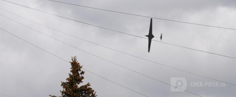 фото: Череповец-поиск