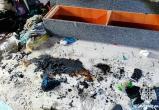 МЧС России по Вологодской области