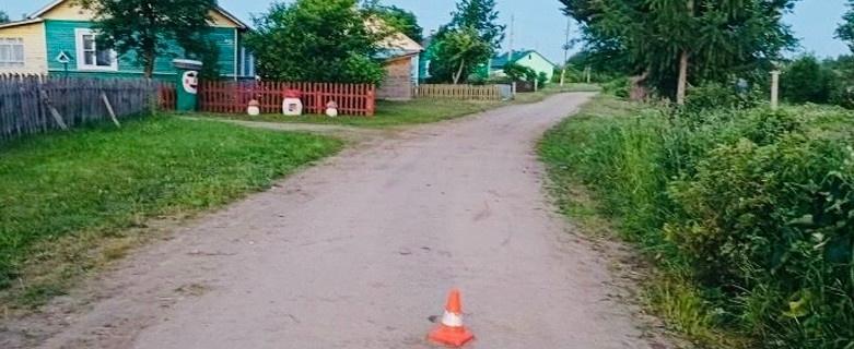 Госавтоинспекция Вологодской области