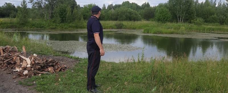 Сокол.Инфо