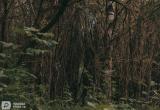 Тимур Бойков, Vologda-poisk.ru