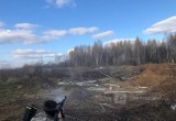 Череповец-Поиск