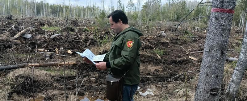 Фото пресс-службы правительства Вологодской области