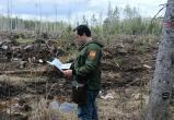Фото пресс-службы правительства Вологодской области