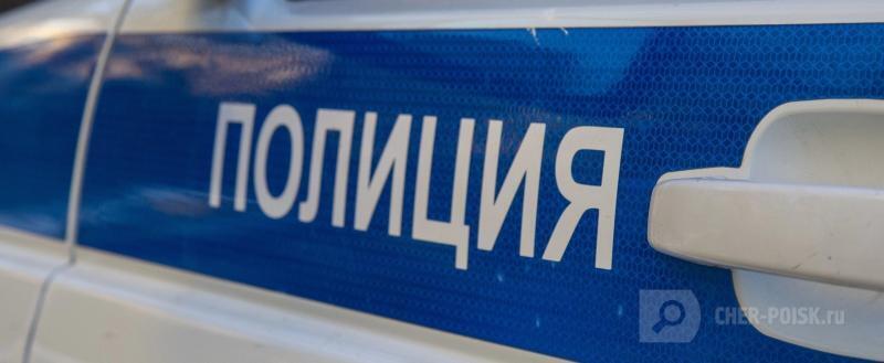 Фото: пресс-служба УМВД России по Вологодской области 