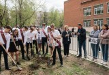 - Все выпускники должны посадить саженцы во дворе школы, - у нас школа опять вымогает деньги
