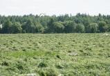 фото: Череповец-поиск