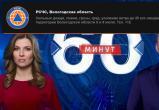Внимание на экран: видеосервис предупредит вологжан о природных, техногенных и иных рисках