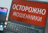 Фото: Череповец-Поиск 