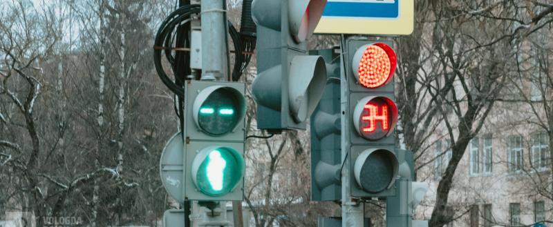 Фото Тимура Бойкова/Вологда-Поиск