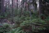Фото: Вологда-Поиск