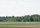 фото:Череповец-поиск