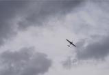 Череповец-Поиск