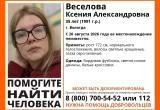 поисково-спасательный отряд "ЛизаАлерт" по Вологодской области