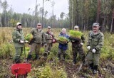 пресс-служба администрации Вологодской области