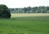 Череповец-Поиск 