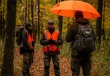 сгенерировано с помощью ИИ