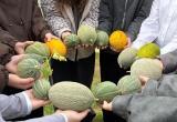 пресс-служба Министерства образования Вологодской области