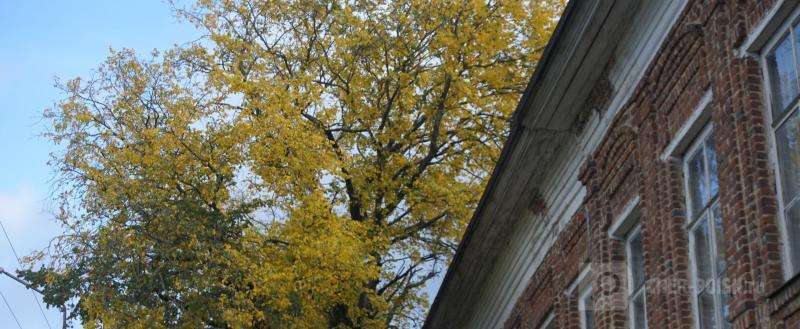 Череповец-Поиск