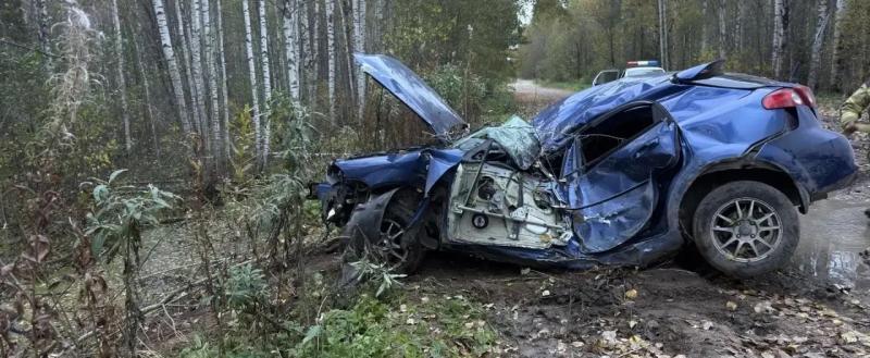 пресс-служба УМВД России по Вологодской области 
