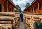 сгенерировано с помощью ИИ