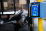 Тимур Бойков, Череповец-Поиск