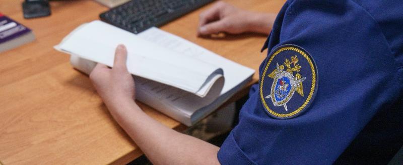пресс-служба СУ СК РФ по Вологодской области 