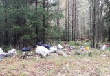 Череповчан возмутили горы мусора у деревни Коротово (ФОТО) 