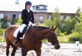 В Череповце прошел Летний Чемпионат и первенство города по конному спорту