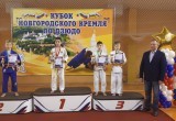 Череповчане успешно выступили на соревнованиях по дзюдо «Кубок Новгородского Кремля»