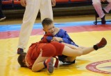Череповецкий турнир определил лучших юных бойцов самбо (фото)