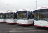 В Череповце торжественно презентовали новые низкопольные автобусы (фото)