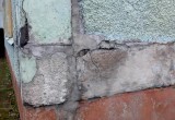  Почерневшие стены с плесенью: череповчане возмущены состоянием детского сада на "Фанере" (фото)