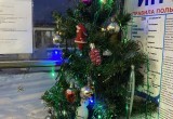 Вадим Германов сделал новогодний подарок всем «безлошадным» жителям Череповца