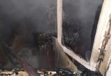 В Белозерске нетрезвые сожители погибли, задохнувшись дымом от горящей кровати