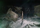 В Тотемском районе несколько десятков домашних животных сгорели заживо