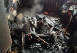 В Чагодощенском районе во время пожара погибли мать и сын