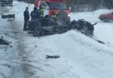 Женщина и девушка погибли в смертельной аварии в Грязовецком районе 
