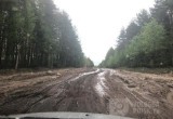 Губернатор пообещал сделать дорогу от Вытегры до Ошты