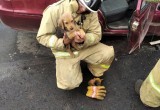 Бабушкинские пожарные спасли после лобового ДТП двух человек и щенка (ФОТО)