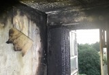 Стали известны подробности пожара в девятиэтажке на Луначарского в Череповце