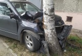 Пьяный водитель иномарки решил пободаться с березой в Заягорбском районе