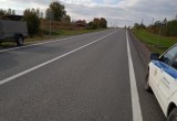 В Вологодской области водитель насмерть сбил пешехода и скрылся