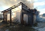 В Тотемском районе 8 животных заживо сгорели во время пожара