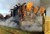 В Тотемском районе 8 животных заживо сгорели во время пожара