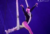 Цирк Vivat в Череповце: львиное шоу, хаски-наездницы и воздушные гимнастки