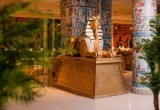 Познавательно-развлекательная выставка «Тайны Древнего Египта» отправит череповчан в путешествие во времени