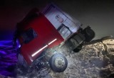 29-летний водитель погиб в аварии с грузовиком в Вологодской области